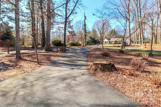 251 Gleneagles Rd E, Statesville, NC 28625 - photo 46
