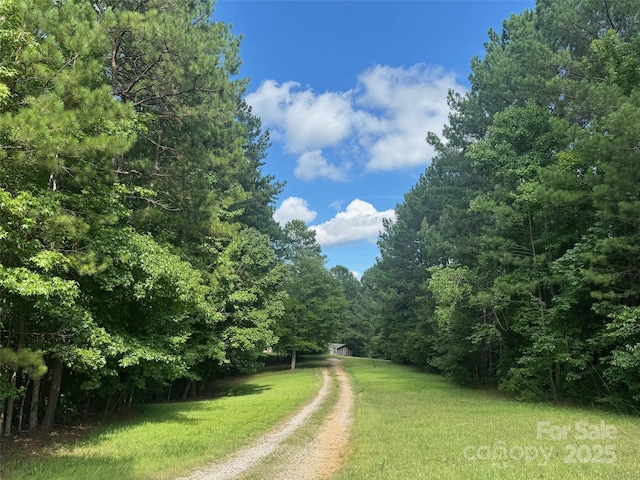 316 C E Stewart Rd, Clover, SC 29710 - view of dirt / gravel driveway with a wooded view