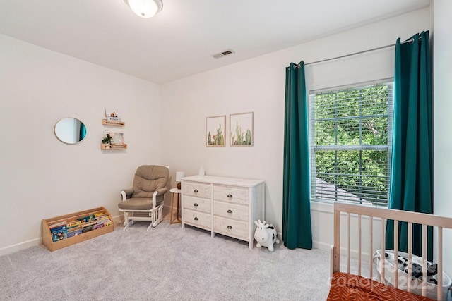 15620 Glen Miro Dr, Huntersville, NC 28078 - photo 29