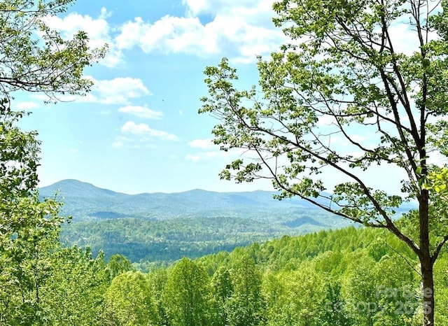 LOT79 Ridge Run Rd Unit 79, Boomer, NC 28606 - photo 1