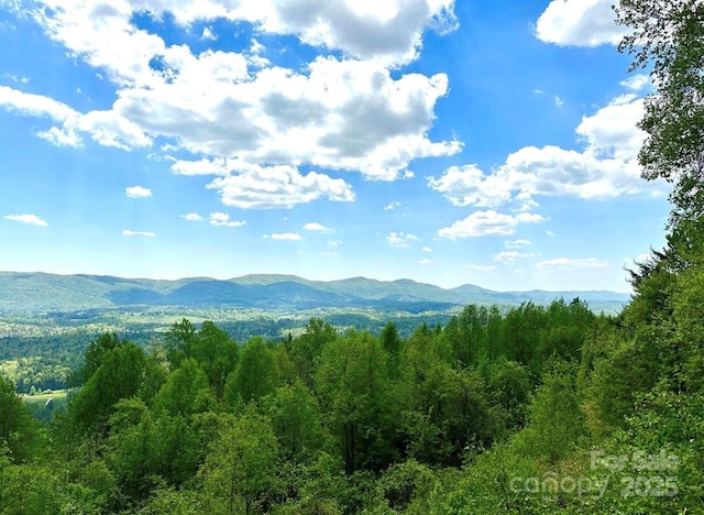 LOT79 Ridge Run Rd Unit 79, Boomer, NC 28606 - photo 2