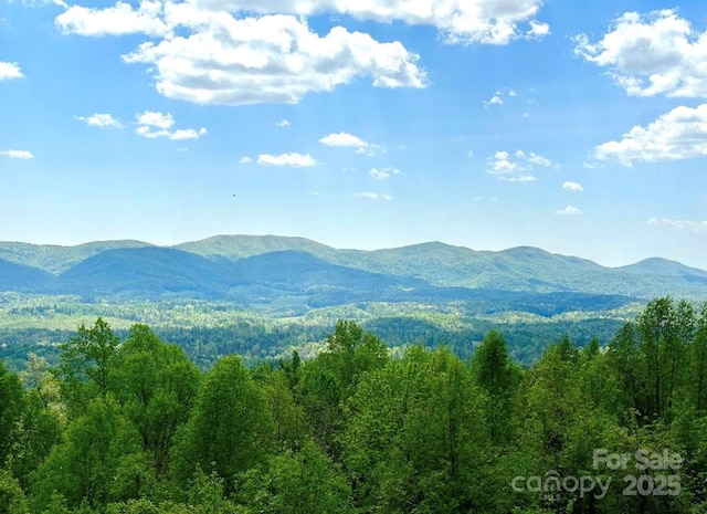 LOT79 Ridge Run Rd Unit 79, Boomer, NC 28606 - photo 3