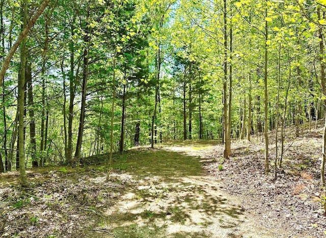 LOT79 Ridge Run Rd Unit 79, Boomer, NC 28606 - photo 4