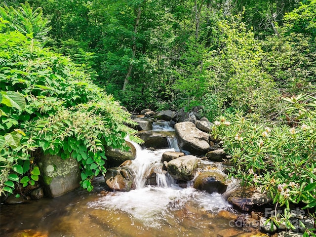 253 Odoms Chapel Rd, Bakersville, NC 28705 - photo 2