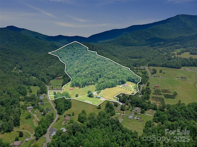 253 Odoms Chapel Rd, Bakersville, NC 28705 - photo 29