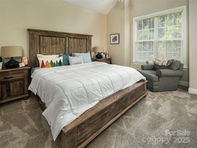 48 Black Horse Run, Biltmore Lake, NC 28715 - photo 10
