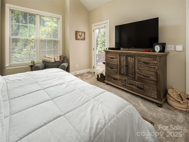 48 Black Horse Run, Biltmore Lake, NC 28715 - photo 11