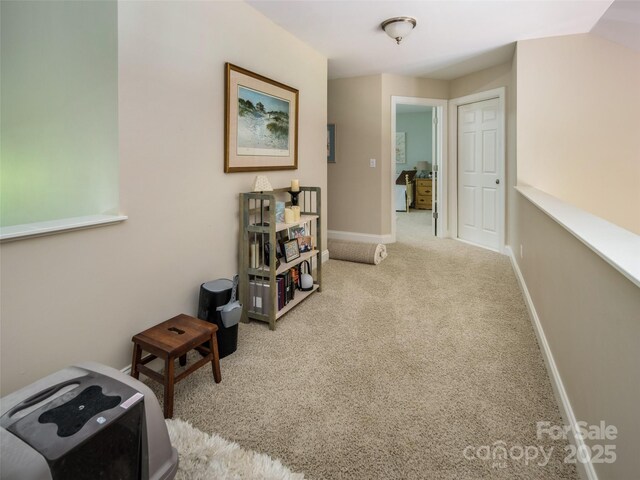 48 Black Horse Run, Biltmore Lake, NC 28715 - photo 16