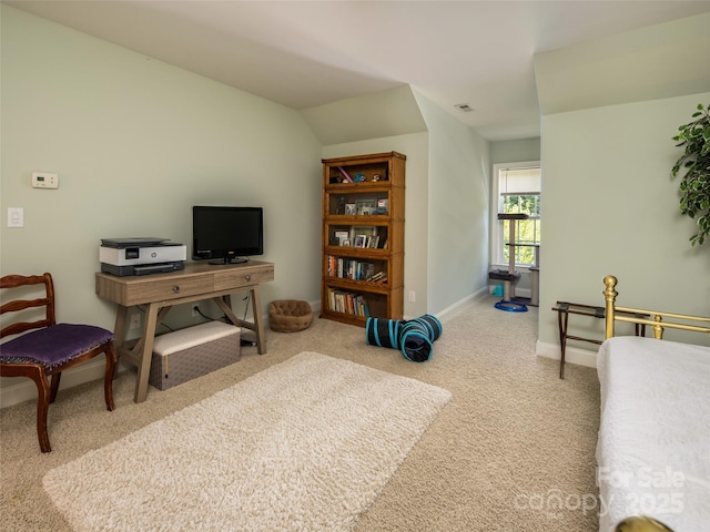 48 Black Horse Run, Biltmore Lake, NC 28715 - photo 17