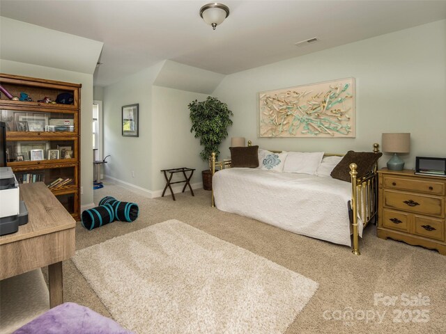 48 Black Horse Run, Biltmore Lake, NC 28715 - photo 18