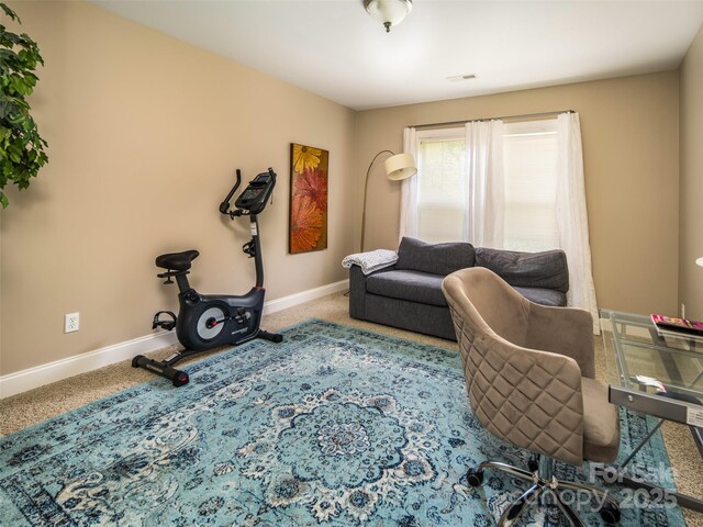 48 Black Horse Run, Biltmore Lake, NC 28715 - photo 19