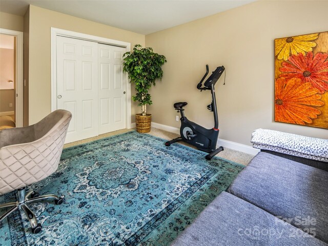 48 Black Horse Run, Biltmore Lake, NC 28715 - photo 20