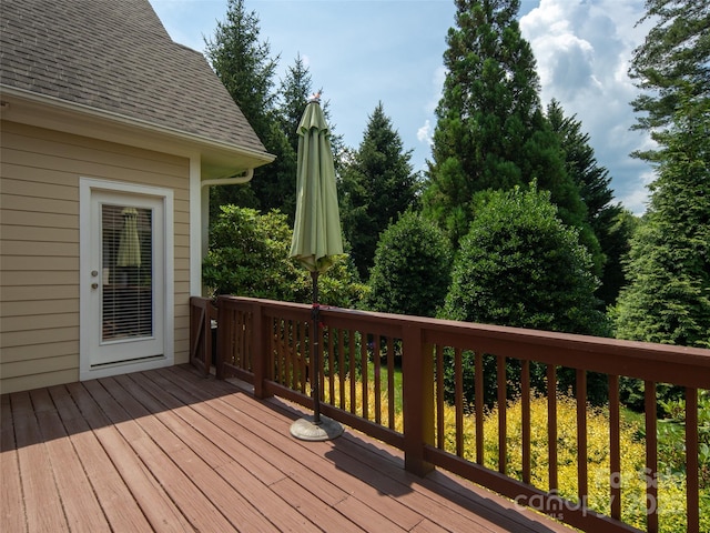 48 Black Horse Run, Biltmore Lake, NC 28715 - photo 24