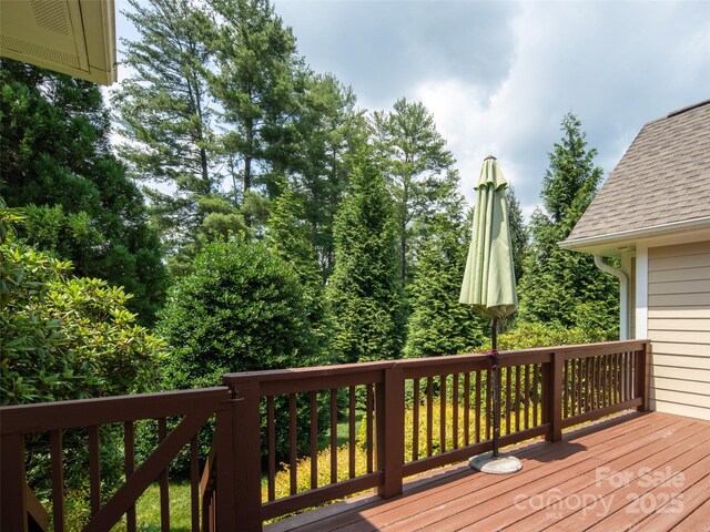48 Black Horse Run, Biltmore Lake, NC 28715 - photo 25