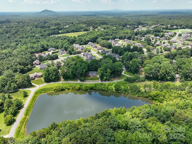 132 General Pemberton St, Stanley, NC 28164 - photo 36