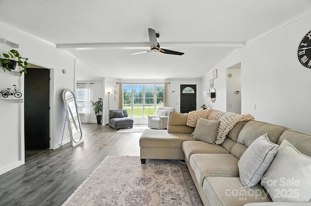 1778 N Ingleside Farm Rd, Iron Station, NC 28080 - living area featuring wood finished floors and ceiling fan