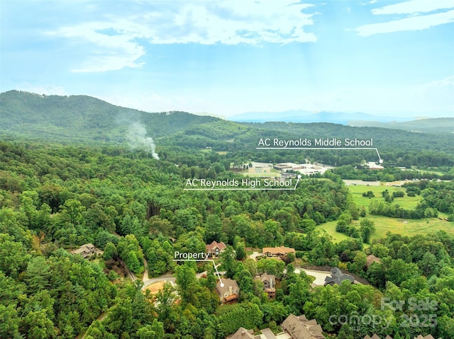 103 Village Pointe Ln, Asheville, NC 28803 - photo 45