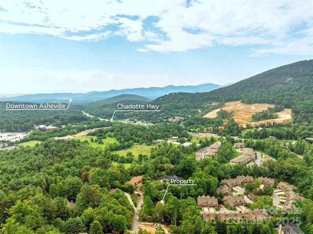 103 Village Pointe Ln, Asheville, NC 28803 - photo 46