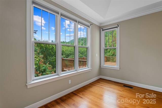 103 Village Pointe Ln, Asheville, NC 28803 - photo 17