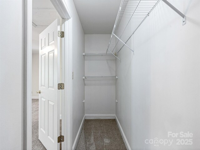 12 Whitleigh Ct, Arden, NC 28704 - photo 36