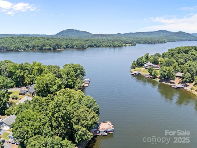 114 Mallard Pt, Mount Gilead, NC 27306 - photo 46