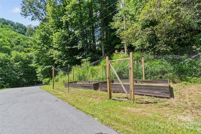222 Fox Creek Rd, Mars Hill, NC 28754 - view of street