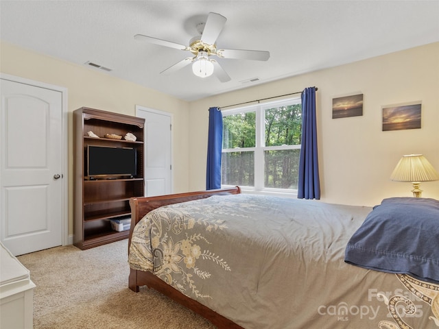 222 Fox Creek Rd, Mars Hill, NC 28754 - bedroom with carpet flooring and ceiling fan