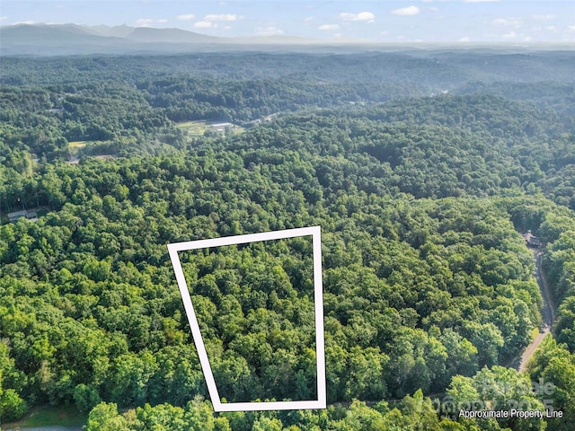 0 Forest Country Dr Lot 49, Marion, NC 28752 - photo 2