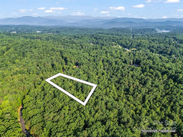 0 Forest Country Dr Lot 49, Marion, NC 28752 - photo 3
