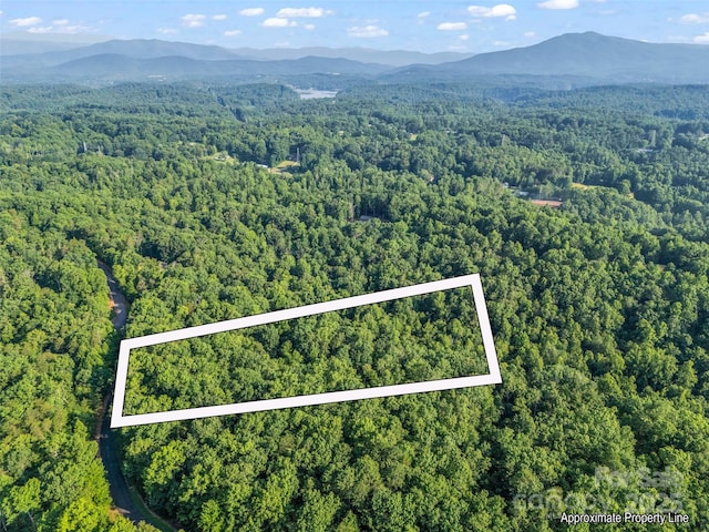 0 Forest Country Dr Lot 49, Marion, NC 28752 - photo 4