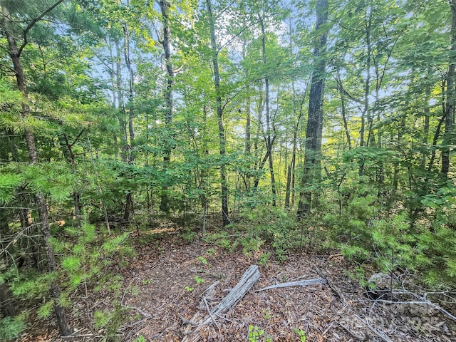 0 Forest Country Dr Lot 49, Marion, NC 28752 - photo 5