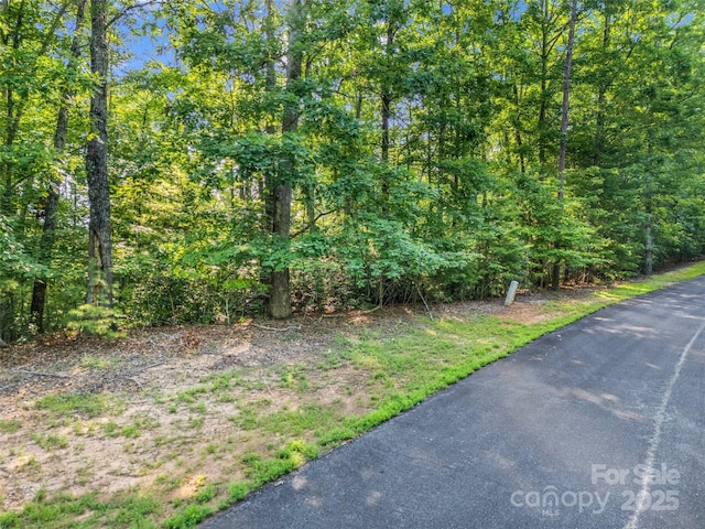 0 Forest Country Dr Lot 49, Marion, NC 28752 - photo 6