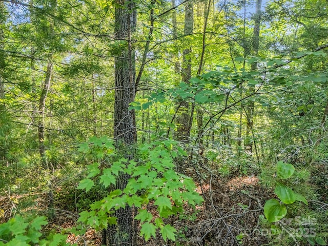 0 Forest Country Dr Lot 49, Marion, NC 28752 - photo 8