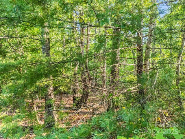 0 Forest Country Dr Lot 49, Marion, NC 28752 - photo 9