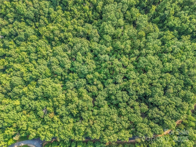 0 Forest Country Dr Lot 49, Marion, NC 28752 - photo 10