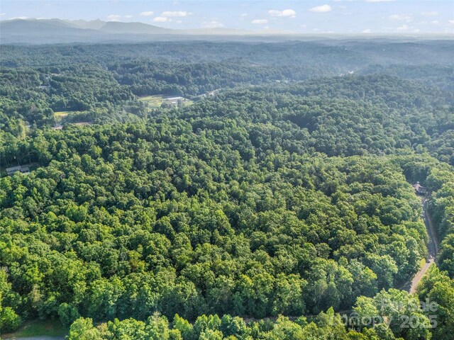 0 Forest Country Dr Lot 49, Marion, NC 28752 - photo 11