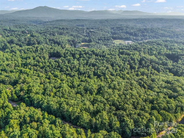 0 Forest Country Dr Lot 49, Marion, NC 28752 - photo 12