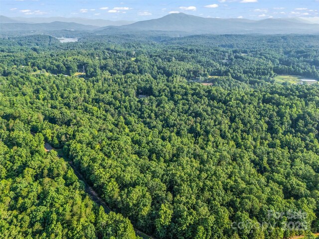 0 Forest Country Dr Lot 49, Marion, NC 28752 - photo 13
