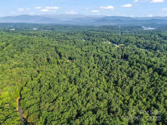0 Forest Country Dr Lot 49, Marion, NC 28752 - photo 15