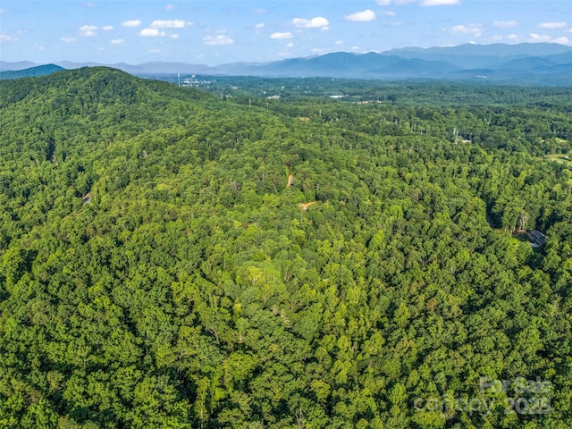 0 Forest Country Dr Lot 49, Marion, NC 28752 - photo 16