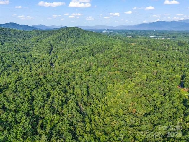 0 Forest Country Dr Lot 49, Marion, NC 28752 - photo 17