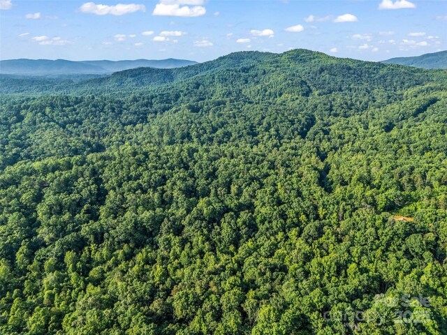 0 Forest Country Dr Lot 49, Marion, NC 28752 - photo 18