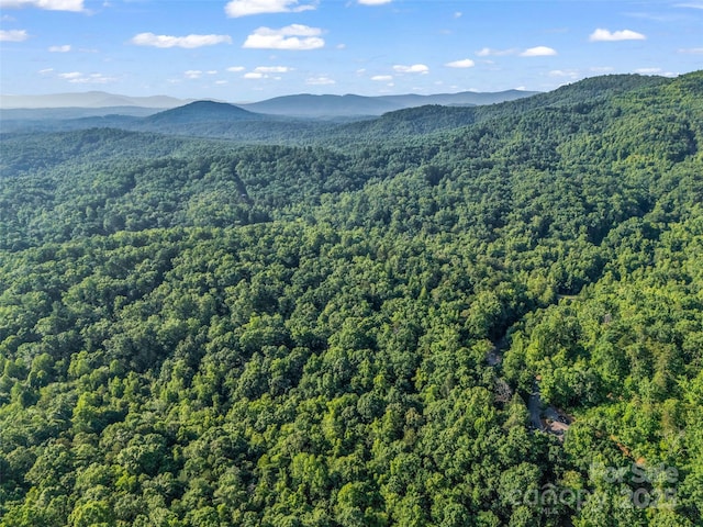 0 Forest Country Dr Lot 49, Marion, NC 28752 - photo 19