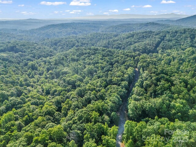 0 Forest Country Dr Lot 49, Marion, NC 28752 - photo 20