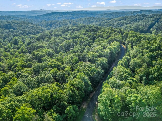 0 Forest Country Dr Lot 49, Marion, NC 28752 - photo 21