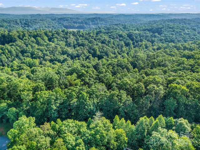 0 Forest Country Dr Lot 49, Marion, NC 28752 - photo 22