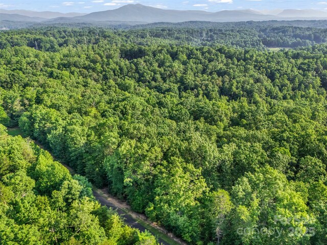 0 Forest Country Dr Lot 49, Marion, NC 28752 - photo 23