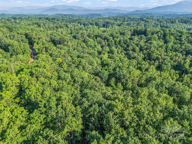 0 Forest Country Dr Lot 49, Marion, NC 28752 - photo 24