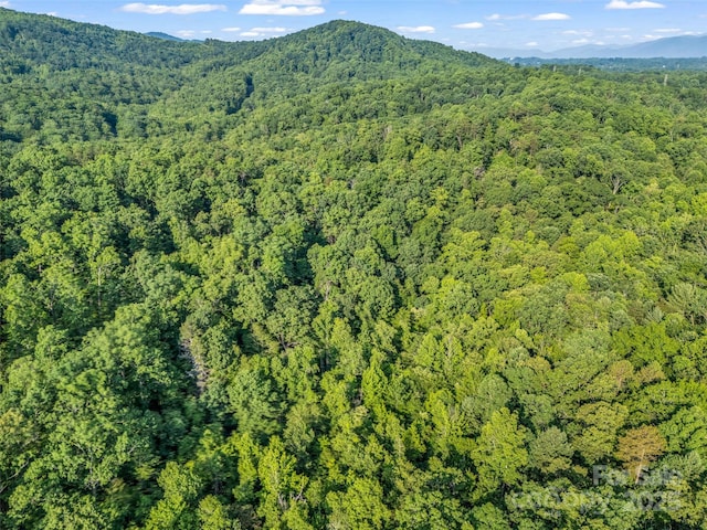 0 Forest Country Dr Lot 49, Marion, NC 28752 - photo 26