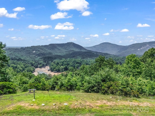 198 Sugarbush Pt, Lake Lure, NC 28746 - view of mountain backdrop featuring a heavily wooded area